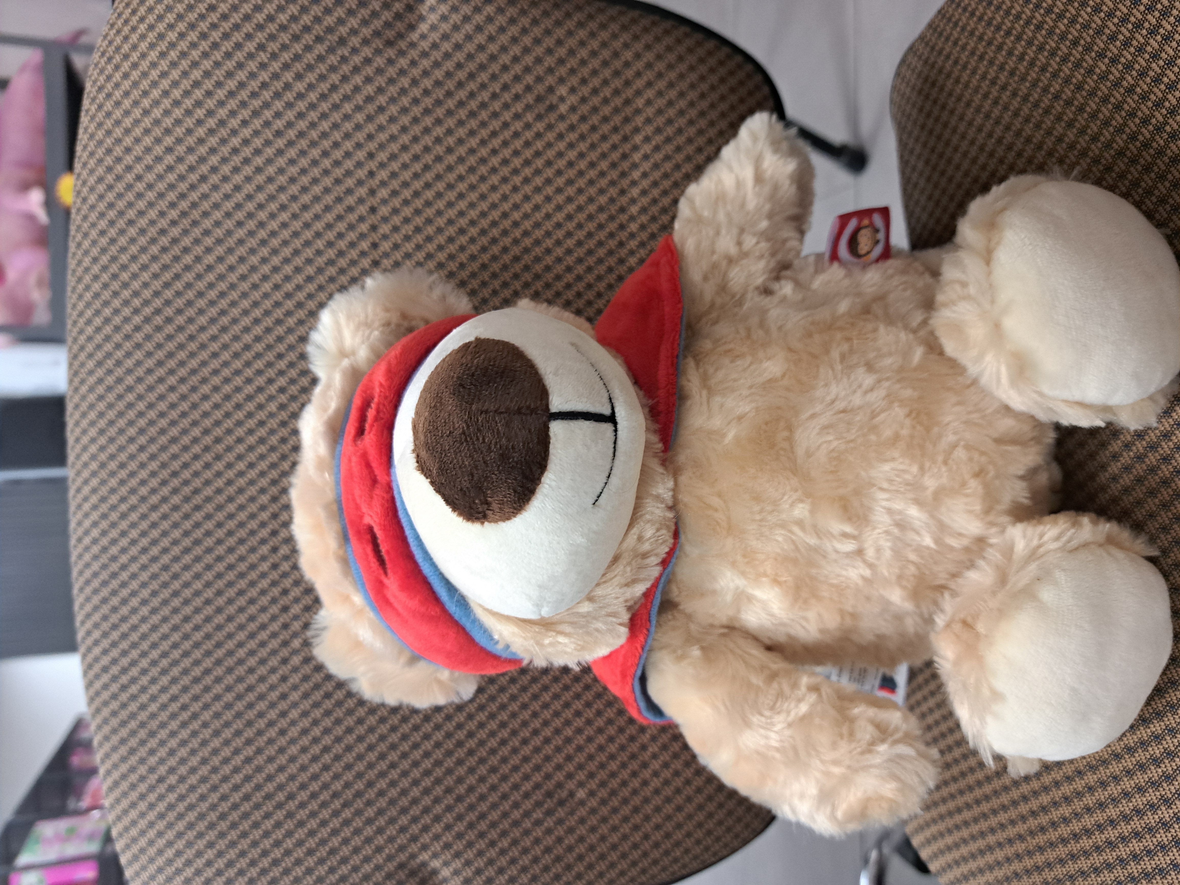 toutou moyen super heros